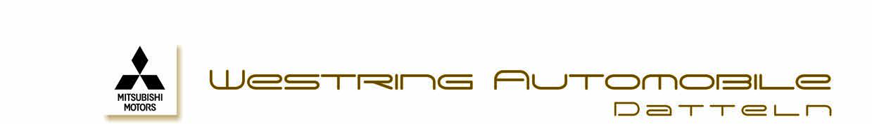 Westring Automobile GmbH